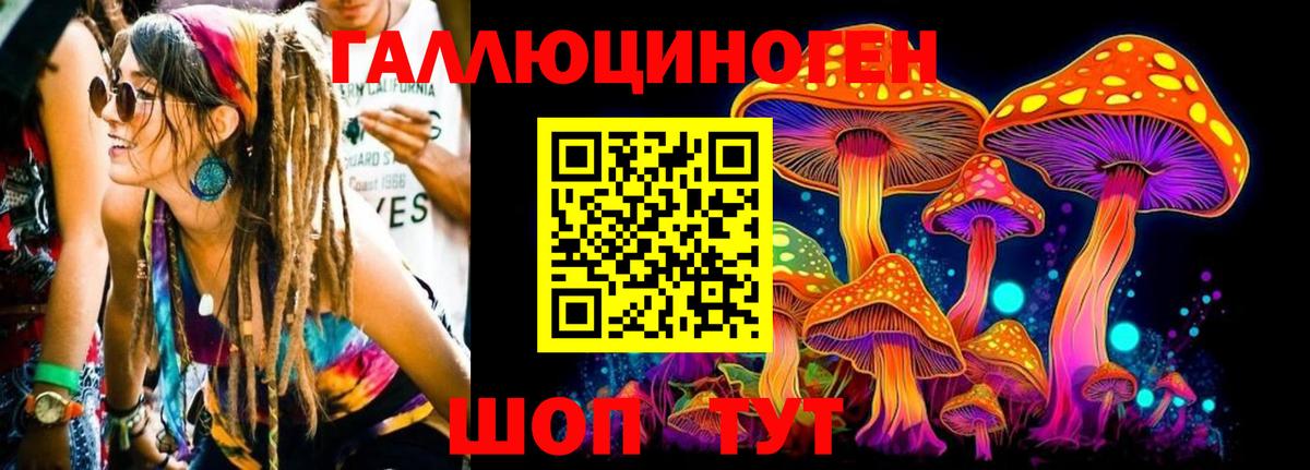 Южно-Сахалинск  Псилоцибиновые грибы MAGIC MUSHROOMS  Вход с VPN  Галлюциногенные грибы Psilocybine cubensis 